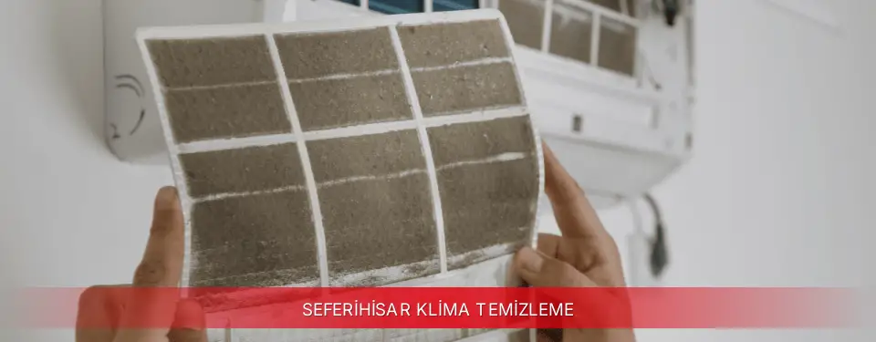 Seferihisar İlçemi Viessmann Klima Temizleme
